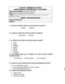 Proyecto de producción de melón orgánico.