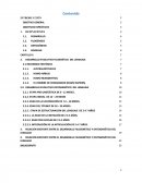 Relación ontogénesis y filogénesis