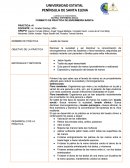 FORMATO DE PRÁCTICA DE ENFERMERÍA BÁSICA