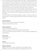 TRABAJOS INDIVIDUALES PARCIAL 2 FINAL