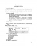 Estudio Ergonómico “Origami Flor Kusudama”