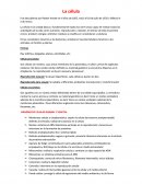 La célula es la unidad básica y fundamental de todos los seres vivos capaz de realizar todas las actividades de la vida como nutrición