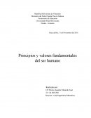 Principios y valores fundamentales del ser humano