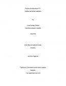 Práctica de laboratorio Nº 1 Análisis elemental cualitativo