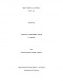 TEORIA GENERAL DE SISTEMAS. INGENIERIA ELECTRONICA