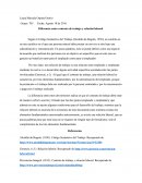 Diferencia entre contrato de trabajo y relación laboral