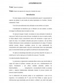 Injerto de especies de rosas por el método de yema.