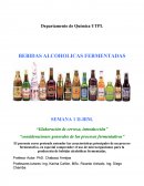 “Elaboración de cerveza, introducción”