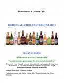 Elaboración de cerveza, introducción