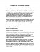 Enfoque en el cliente: una mirada a compañías de respuesta sensible rápida.