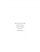 Desafíos del Marketing. Elaborar y ejecutar una estrategia