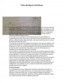 Tubo de Rayos Catódicos.