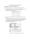 TEMA- PLAN DE MEPRESAS EJEMPLO.
