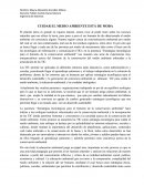 Ensayo sobre ponencia "Estrategias tecnológicas para el fomento de la conservación ambiental".