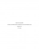 Inspección de seguridad. TÉCNICAS EN PREVENCIÓN DE RIESGOS EN SECTOR PRODUCTIVO.