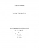 Universidad Autónoma Latinoamericana.