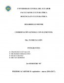 DESARROLLO MOTOR COORDINACIÓN GENERAL CON ELEMENTOS.