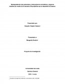 Biodegradación del poliuretano por medio de la bacteria Alicycliphilus sp correccion.