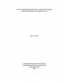 PLAN DE SEGURIDAD INDUSTRIAL Y GESTION DE RIESGO.