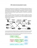 DISTRIBUTION REQUIREMENT PLANING.