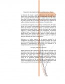 Soberanía de los estados miembros de la federación en México