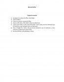 Microsoft Office Trabajo de consulta