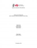 TRABAJO DE INTEGRACIÓN- DUELO PARENTAL DESDE UNA MIRADA ESTRUCTURAL