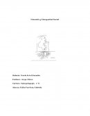 Educación y Discapacidad Social