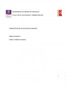 Objeto de estudio 3. Diseño y Análisis de Puestos