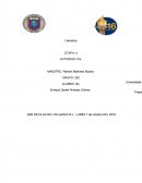 TEMA- SAN NICOLAS DE LOS GARZA N.L. LUNES 7 de octubre DEL 2016