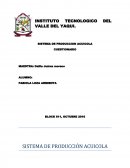 INSTITUTO TECNOLOGICO DEL VALLE DEL YAQUI.