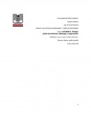 Actividad 8 - Ensayo sobre los términos: liderazgo y negociación