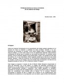 Ponencia UNISINOS Nicolas Arata