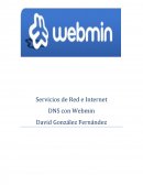 DNS con Webmin.