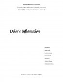 Dolor e Inflamación.