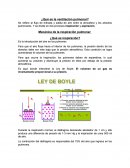 ¿Qué es la ventilación pulmonar?