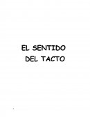 EL SENTIDO DEL TACTO