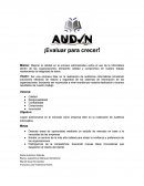 Auditoría informática: Misión, visión y valores para la excelencia y la seguridad de la información