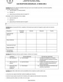 GUÍA RECEPTORES SENSORIALES – III° MEDIO (