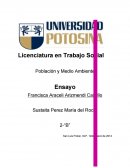 Población y Medio Ambiente Ensayo