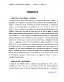 Sintesis de tomochic