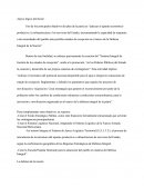 Apoyo lógico territorial