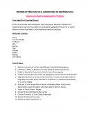 INFORME DE PRÁCTICAS EN EL LABORATORIO DE INGENIERIA CIVIL