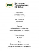 ENSAYO BCH PROGRAMA MONETARIO