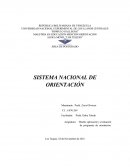 Análisis del Sistema Nacional de Orientación