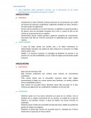 CASO BANKINTER ¿Qué hipotético DAFO podríamos construir con la información de los textos aportados como antecedente al proyecto a realiza?
