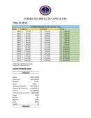 Formacion bruta del capital