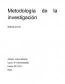 Metodología de la investigación.Maltrato animal.