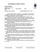 Jardín Materno Infantil “Colores” Informe Evaluativo