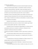 Actividad Fisica y Recreativa